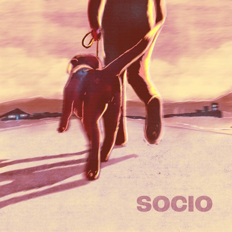 Socio's avatar image