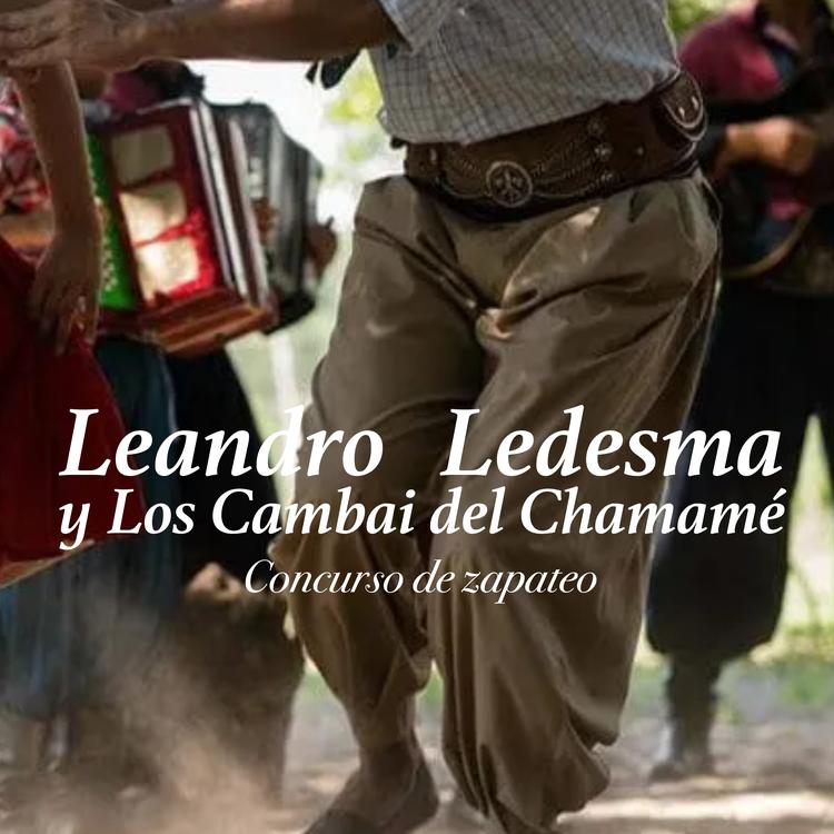 LEANDRO LEDESMA y Los Cambaí del Chamamé's avatar image