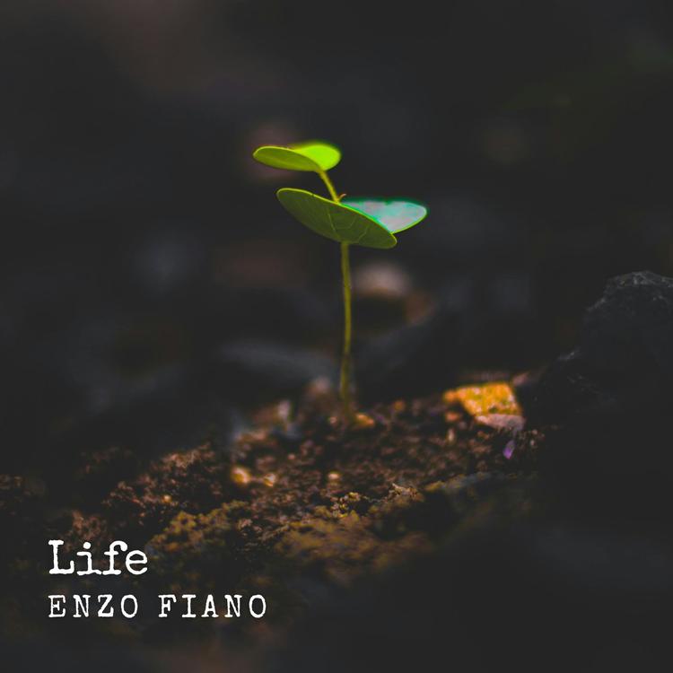 Enzo Fiano's avatar image