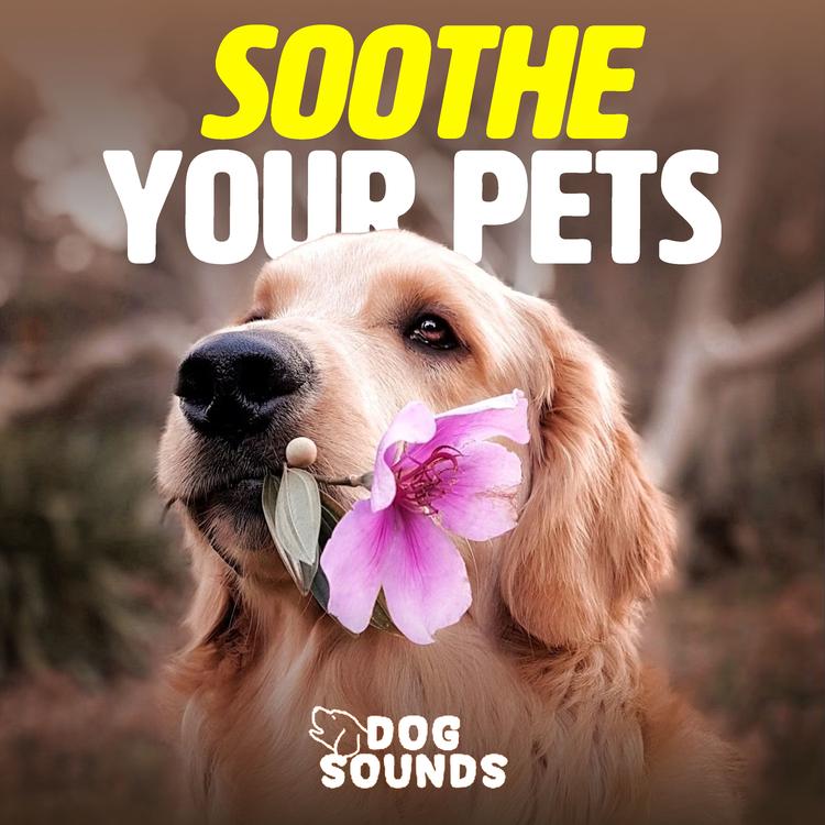 Dog Sounds's avatar image