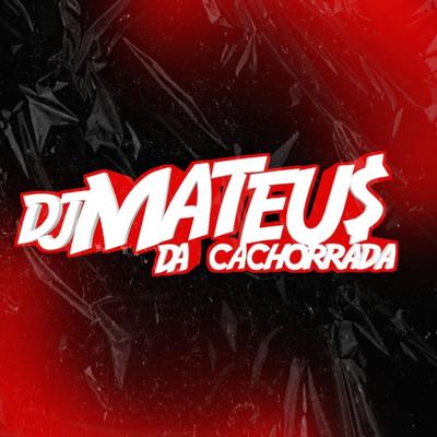 NOVINHA SAFADINHA EU QUERO É TU - BEAT ESTRONDOSO CORTA CHIFRE DE BOI By Dj Mateus Da Cachorrada's cover