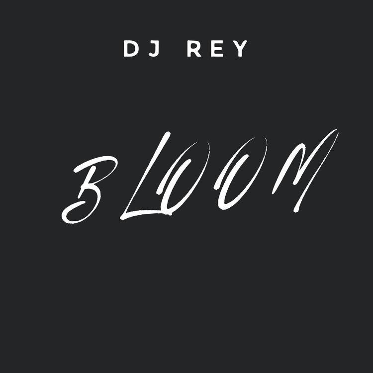 Dj Rey's avatar image