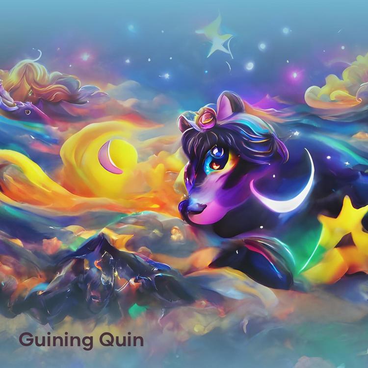 GUINING QUIN's avatar image