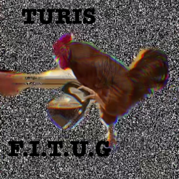 Turıs's avatar image