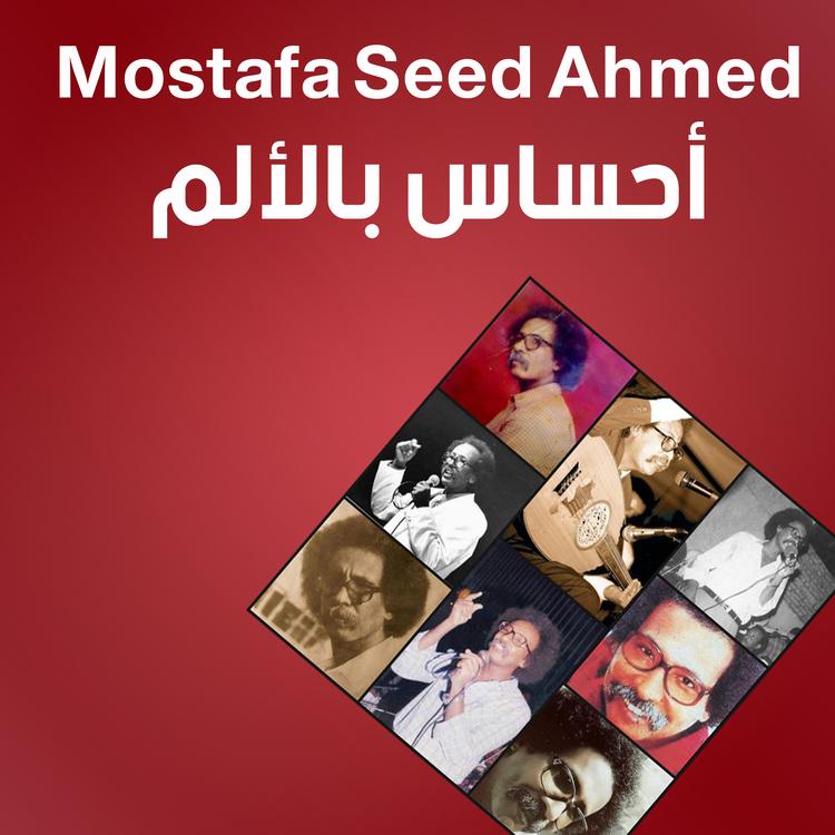 Mostafa Seed Ahmed's avatar image