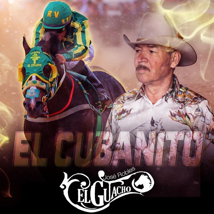 Jose Robles "El Guacho"'s avatar image
