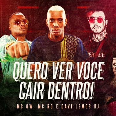 Quero Ver Voce Cair Dentro By Davi Lemos DJ, Mc Gw, Mc RD's cover