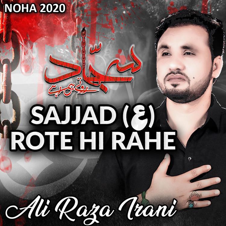 Ali Raza Irani's avatar image