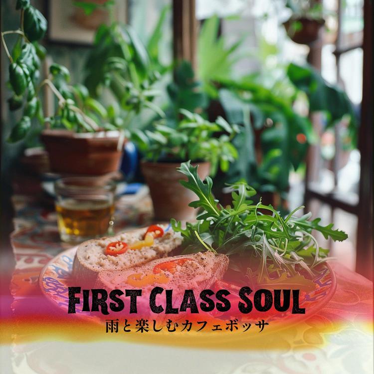 First Class Soul's avatar image