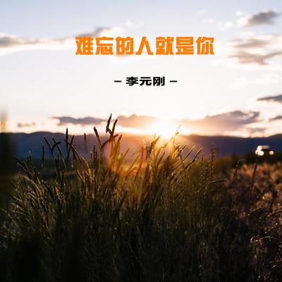 李元刚's cover