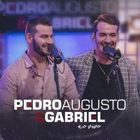 Pedro Augusto & Gabriel's avatar cover
