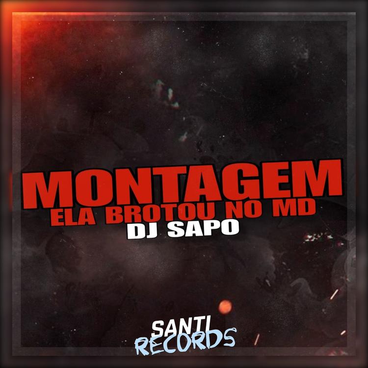 DJ SAPO's avatar image