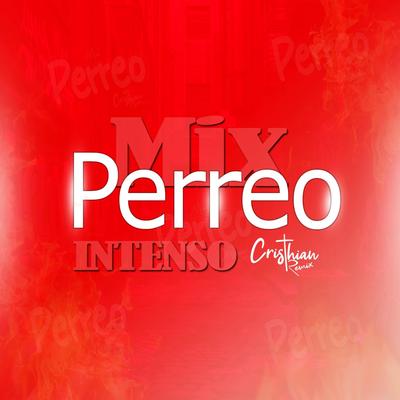 Mix Perreo Intenso 2024 (Old School)'s cover