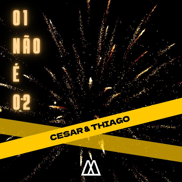 Cesar & Thiago's avatar image