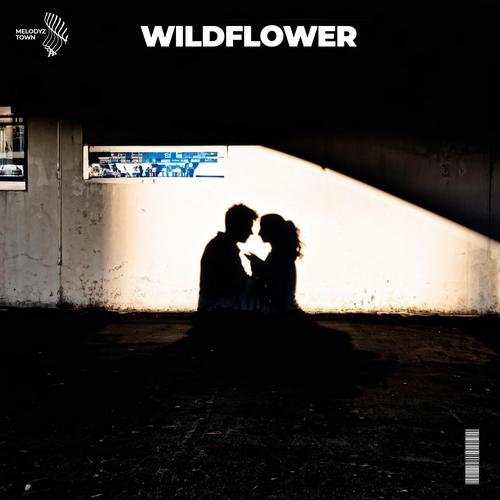 Wildflower's cover