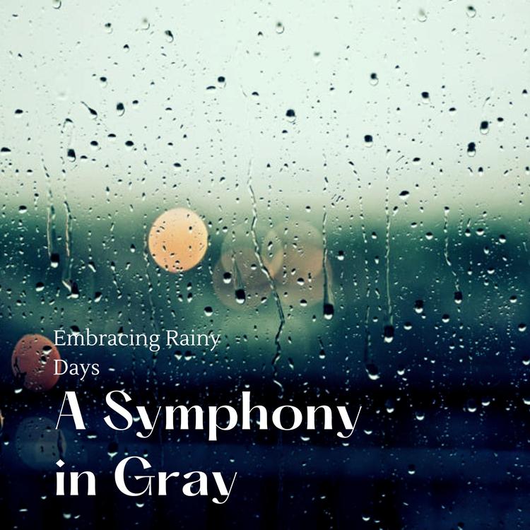 A Symphony in Gray's avatar image