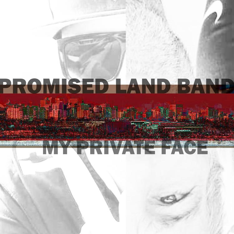 Promised Land Band's avatar image