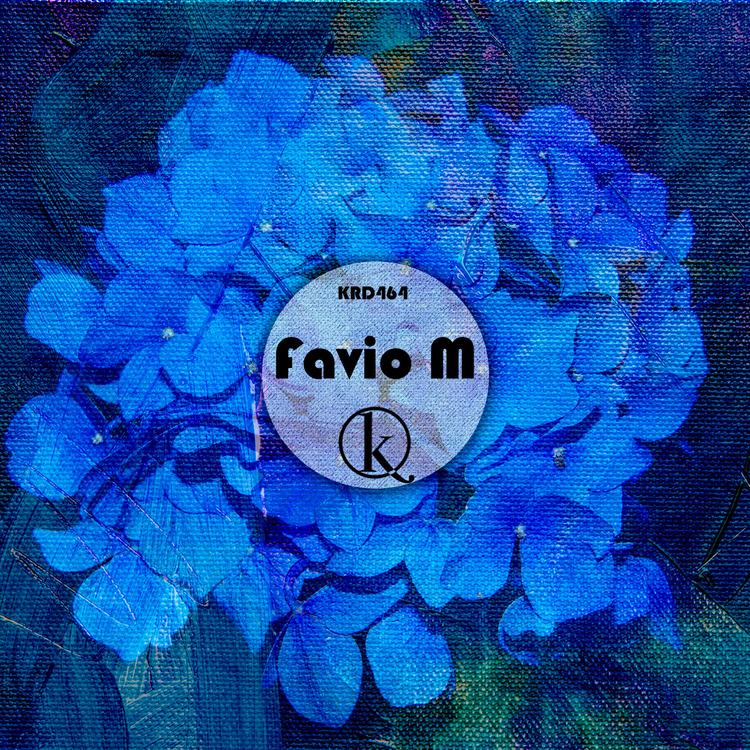 Favio M's avatar image