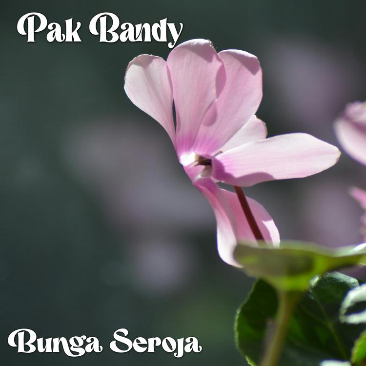 Pak Bandy's avatar image