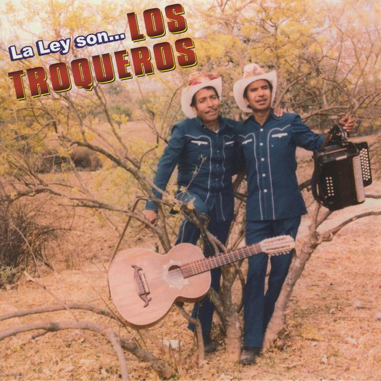 Los Troqueros's avatar image