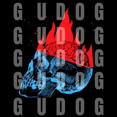 AKADEMIA By DJ GUDOG, Mc Maiquin's cover