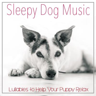 Sleepy Dog Music: Lullabies to Help Your Puppy Relax's cover
