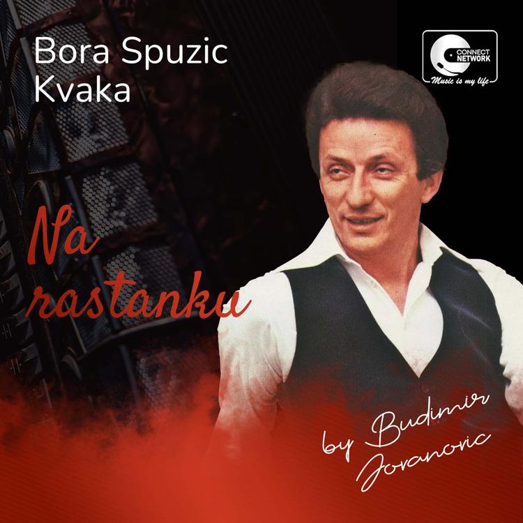 Bora Spuzic Kvaka's avatar image