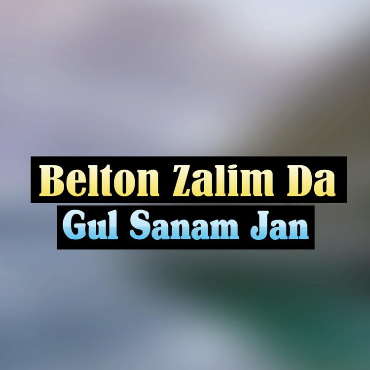 Gul Sanam Jan's avatar image