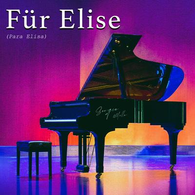 Für Elise (Lounge Version) By Sergio Mella's cover