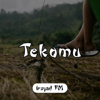 Tekomu (Remix)'s cover