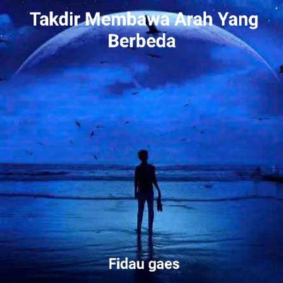 Fidau gaes's cover