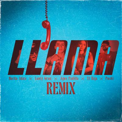 Llama (Remix)'s cover