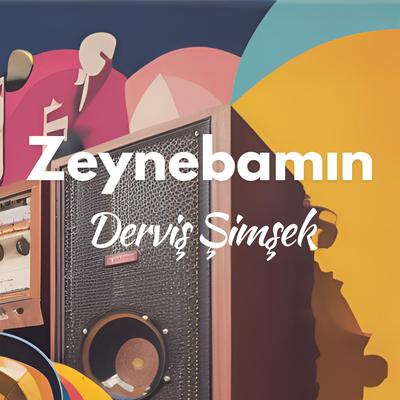 Derviş Şimşek's cover