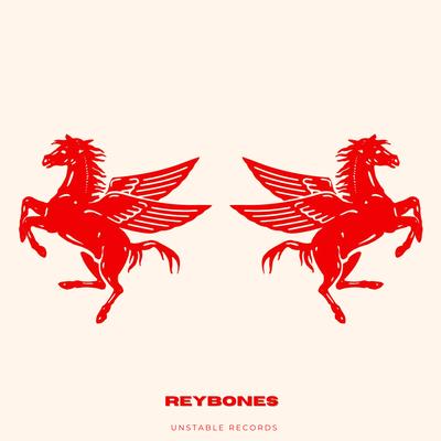 Reybones's cover