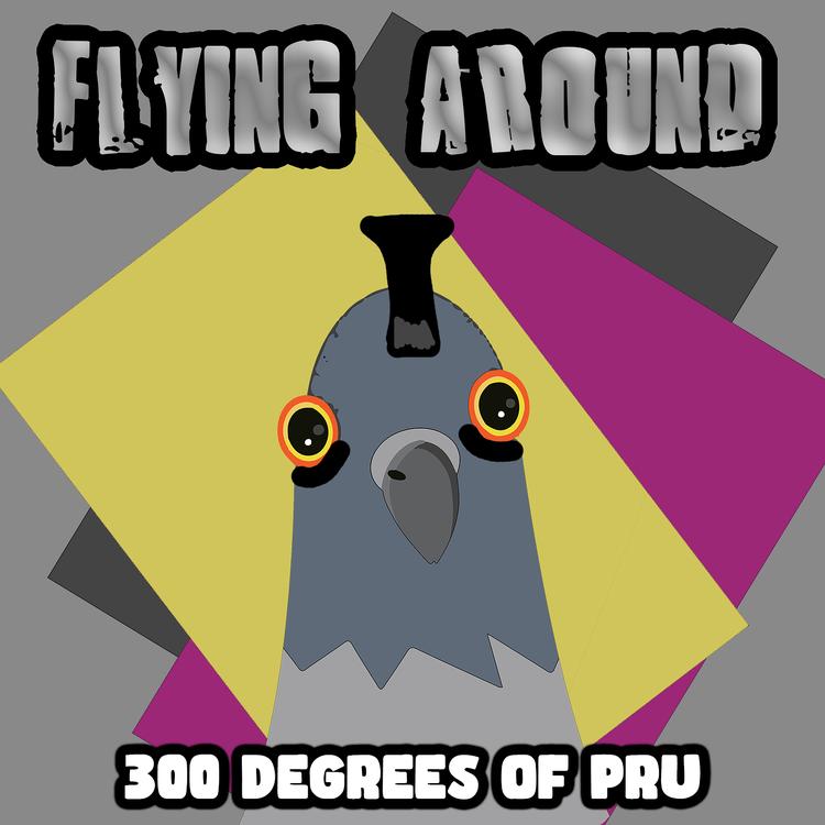 300 Degrees Of Pru's avatar image