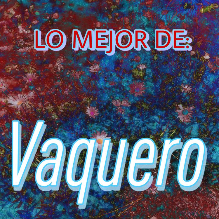 Vaquero's avatar image