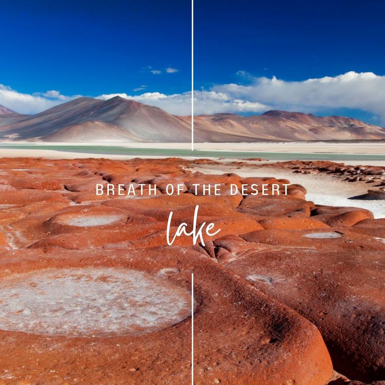 Breath of the Desert's avatar image