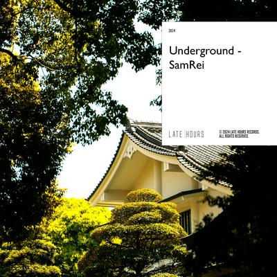 Underground's cover