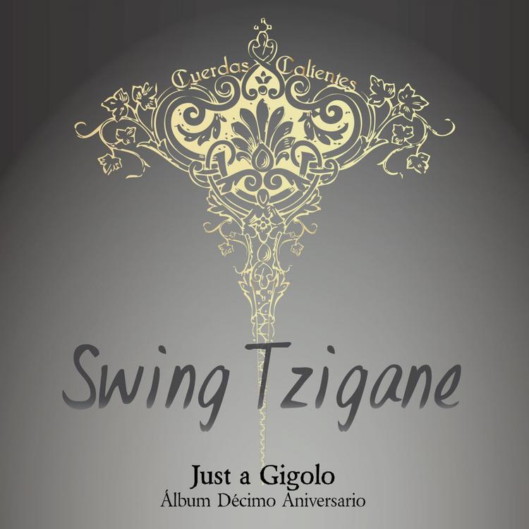 Swing Tzigane's avatar image