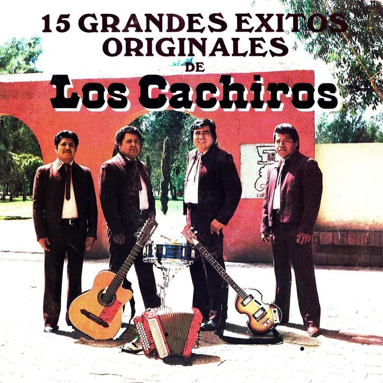 Los Cachiros's avatar image