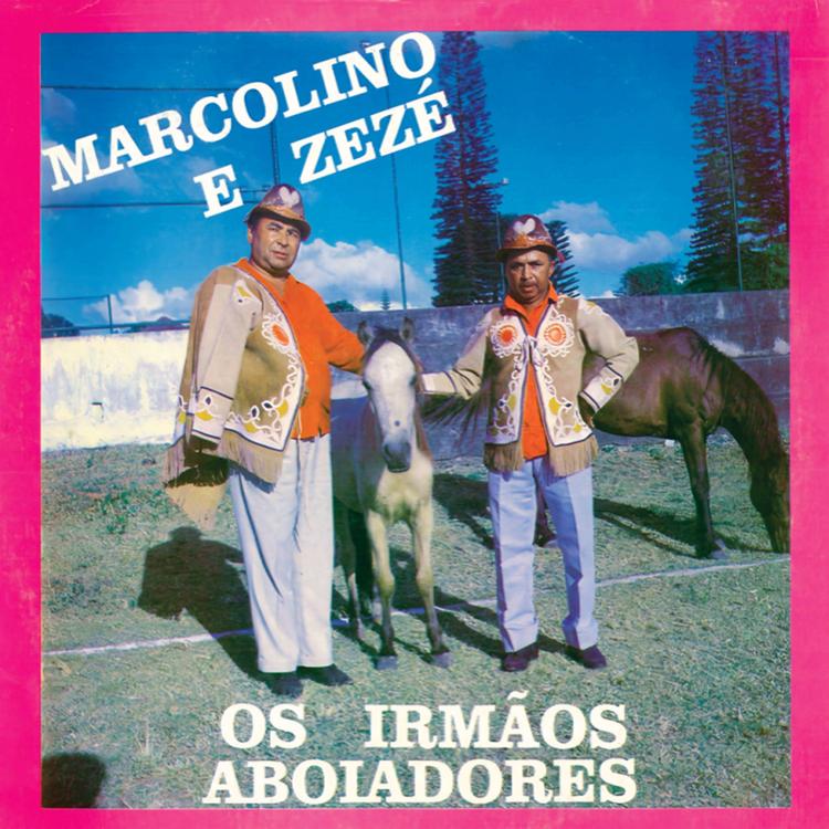 Marcolino e Zezé's avatar image