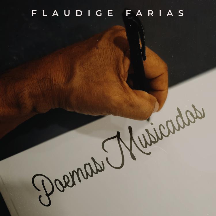 Flaudige Fárias's avatar image