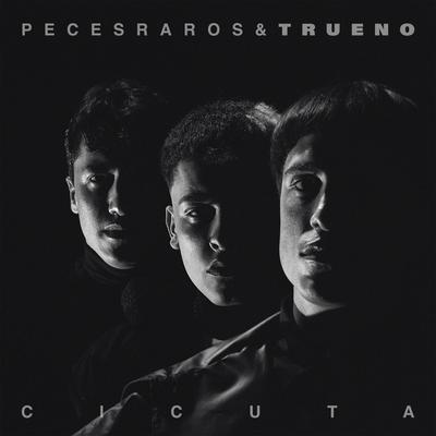 Cicuta (Remix)'s cover