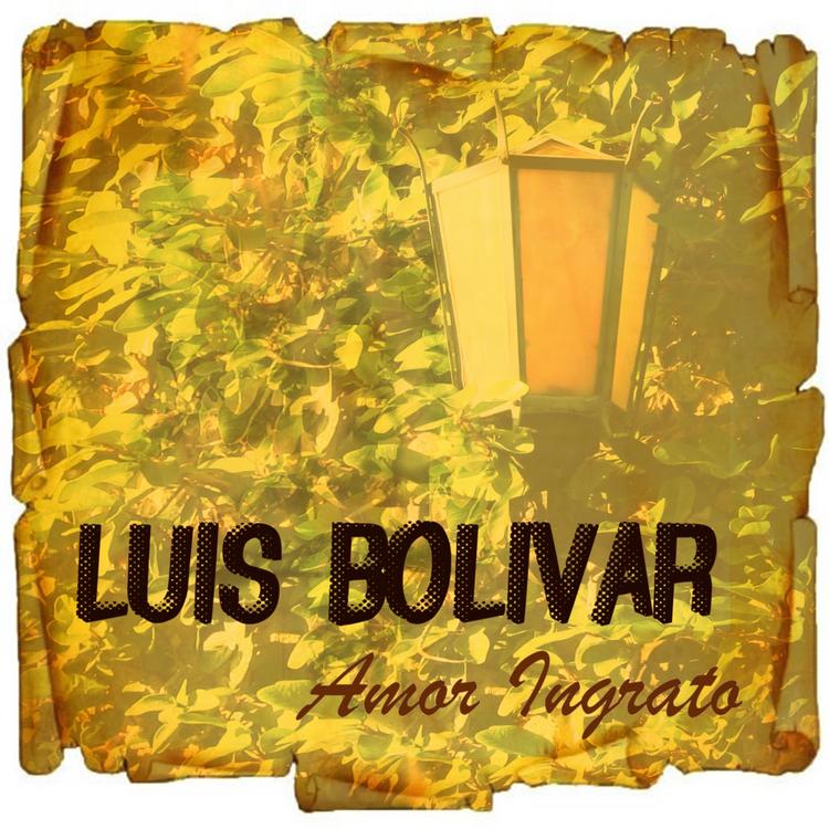 Luis Bolivar's avatar image