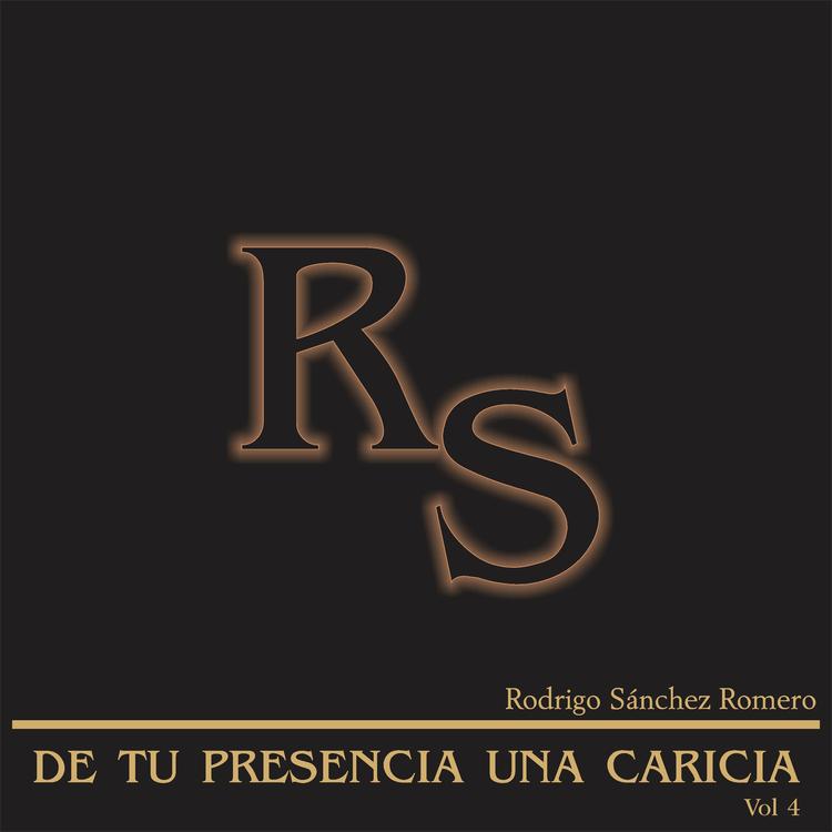 Rodrigo Sánchez Romero's avatar image