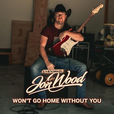 Won't Go Home Without You's cover