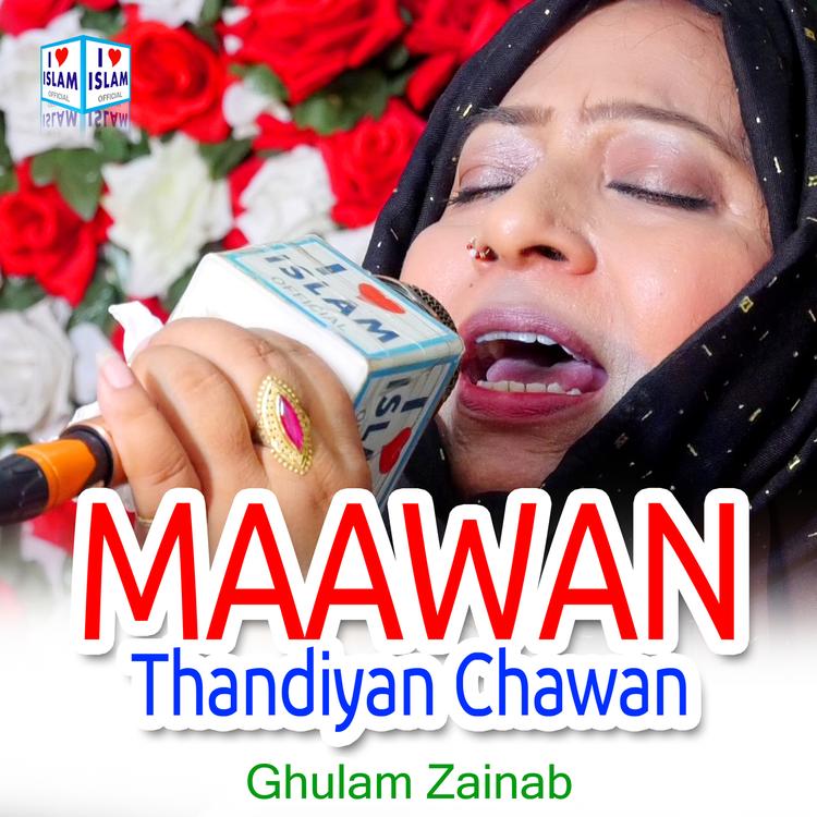 Ghulam Zainab's avatar image