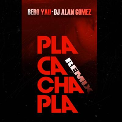 Pla Cacha Pla Remix's cover