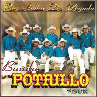 Mi Linda Cumbia's cover