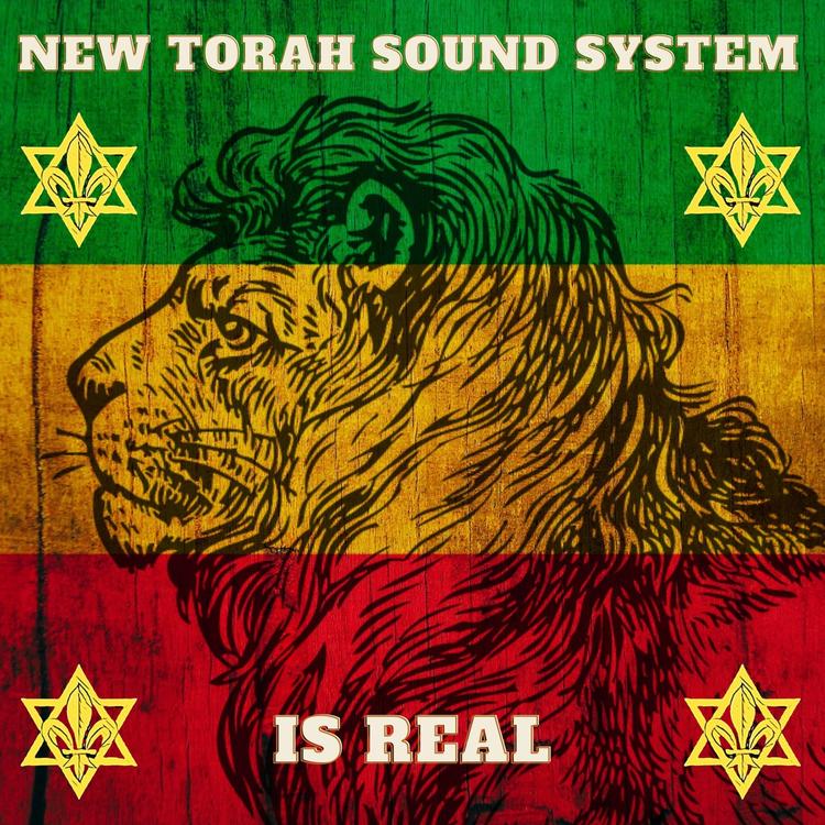 New Torah Sound System's avatar image